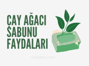 çay ağacı sabunu faydaları