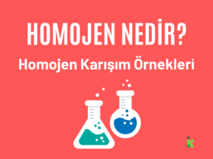 HOMOJEN NEDİR